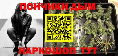 гидропоника Дубна