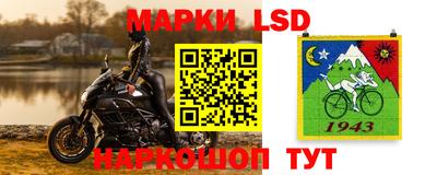 гидропоника Дубна