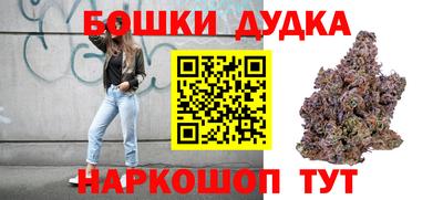 гидропоника Дубна