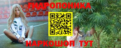стаф Донецк