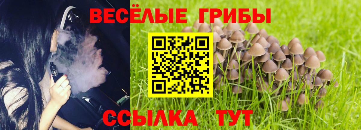 Псилоцибиновые грибы Psilocybine cubensis Ленинск-Кузнецкий