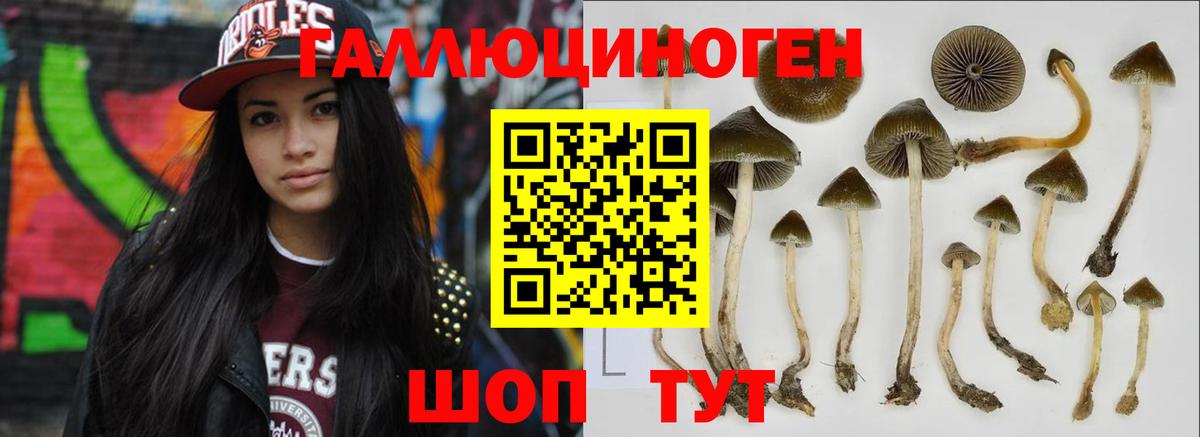 Галлюциногенные грибы GOLDEN TEACHER  Вход с VPN  Ленинск-Кузнецкий 