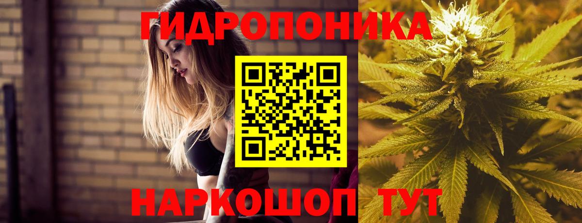 Каннабис план  Канабис Amnesia  Вход с VPN  Ленинск-Кузнецкий  Бошки Шишки Bruce Banner 